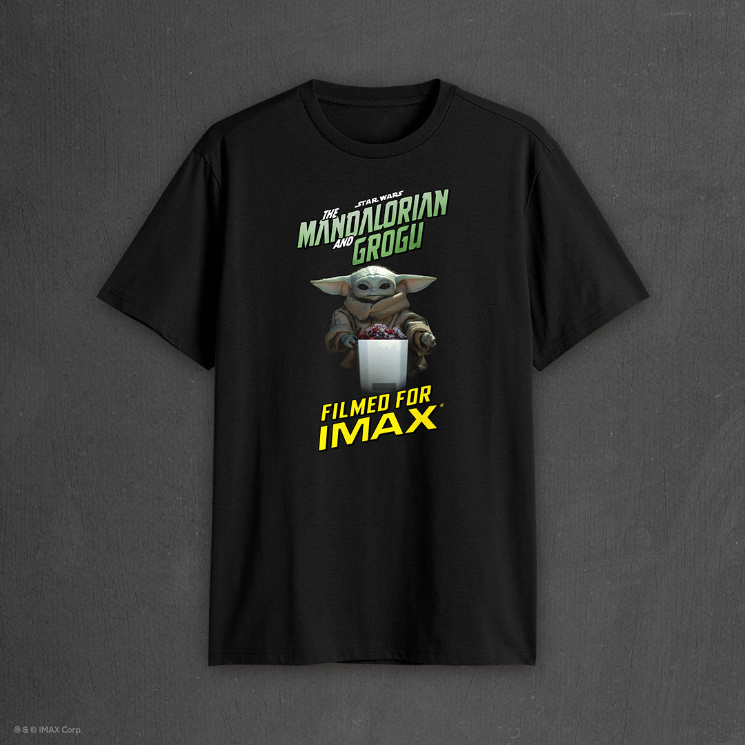 Black t-shirt with 'The Mandalorian' and 'Grogu' graphic on a dark gray background